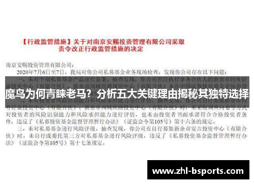 魔鸟为何青睐老马？分析五大关键理由揭秘其独特选择